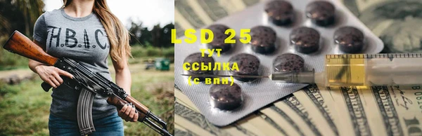 мяу мяу мука Арсеньев