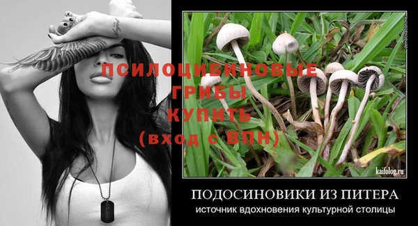 мяу мяу мука Арсеньев